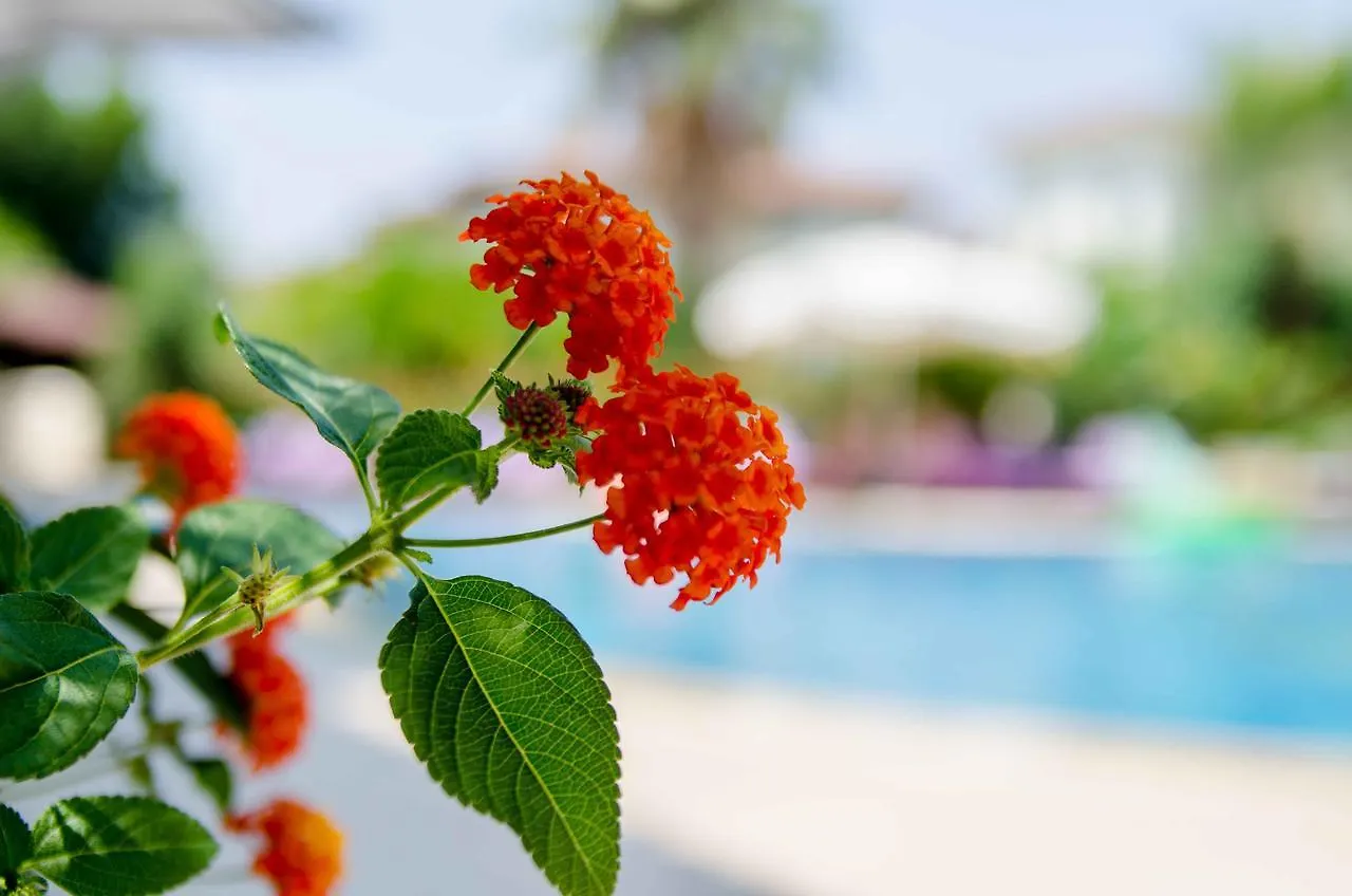 Holiday Calbis Hotel Dalyan
